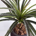 Árvore Dracena Toque Real 1m No Vaso De Chão Thai Preto | Árv